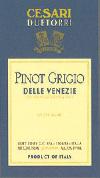 Due Torri - Pinot Grigio Friuli 2020 (1.5L)